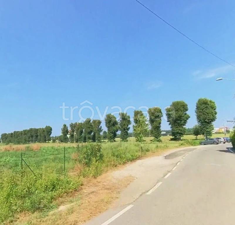 immagine annuncio 11 di 14