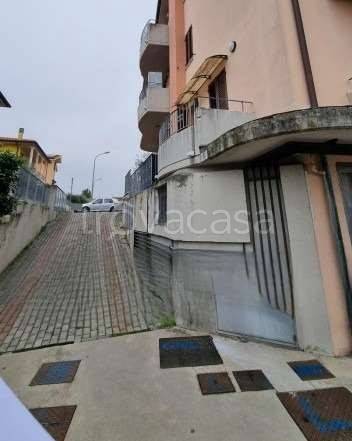 immagine annuncio 2 di 12