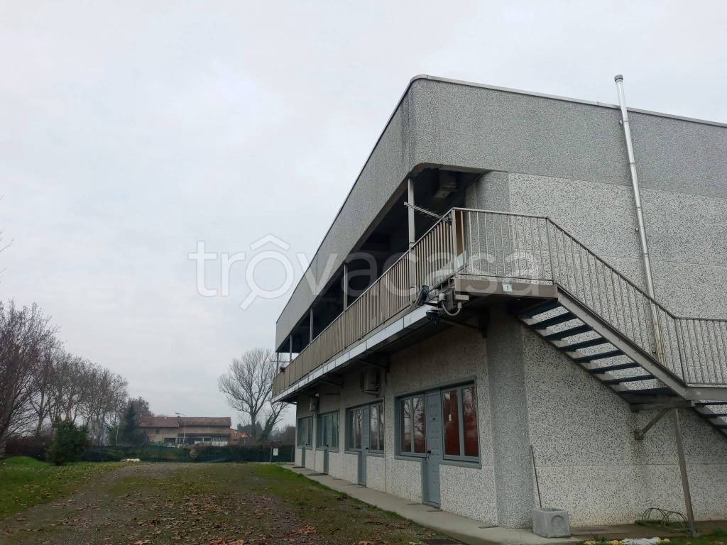 immagine annuncio 2 di 9