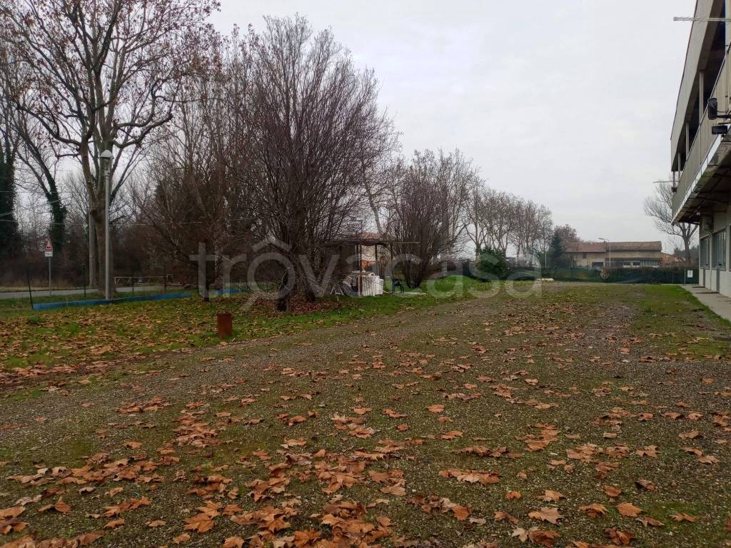 immagine annuncio 3 di 9