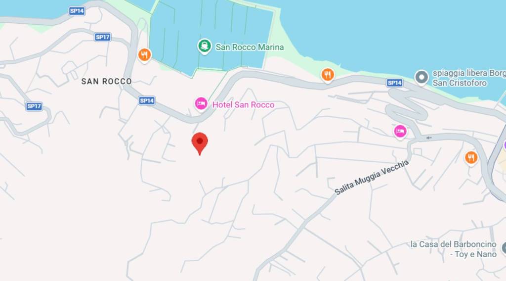 immagine annuncio 6 di 11