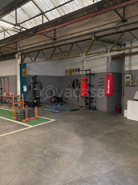 immagine annuncio 2 di 11