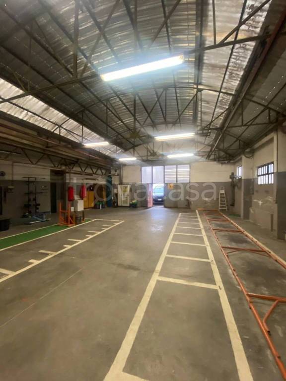 immagine annuncio 5 di 11