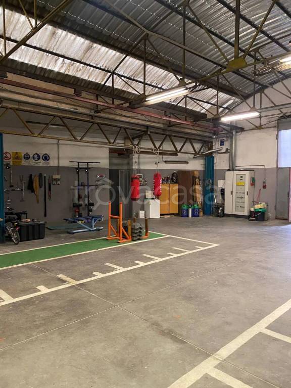 immagine annuncio 7 di 11