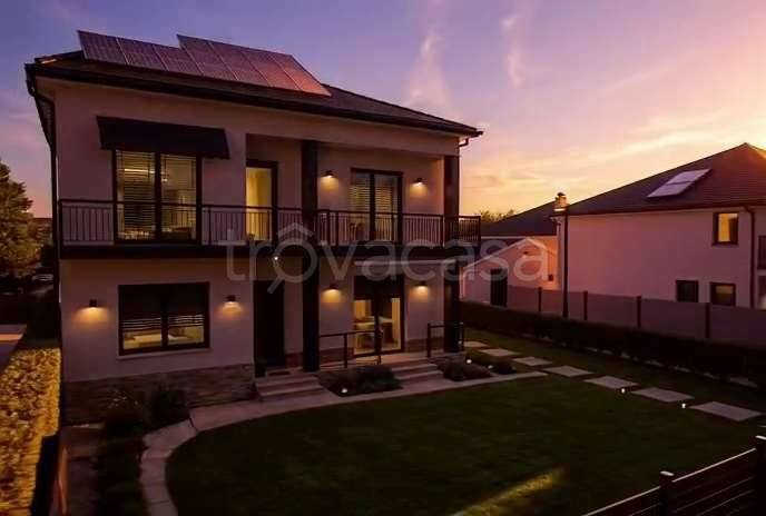 immagine annuncio 9 di 12