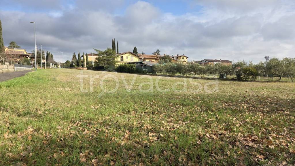 immagine annuncio 3 di 11