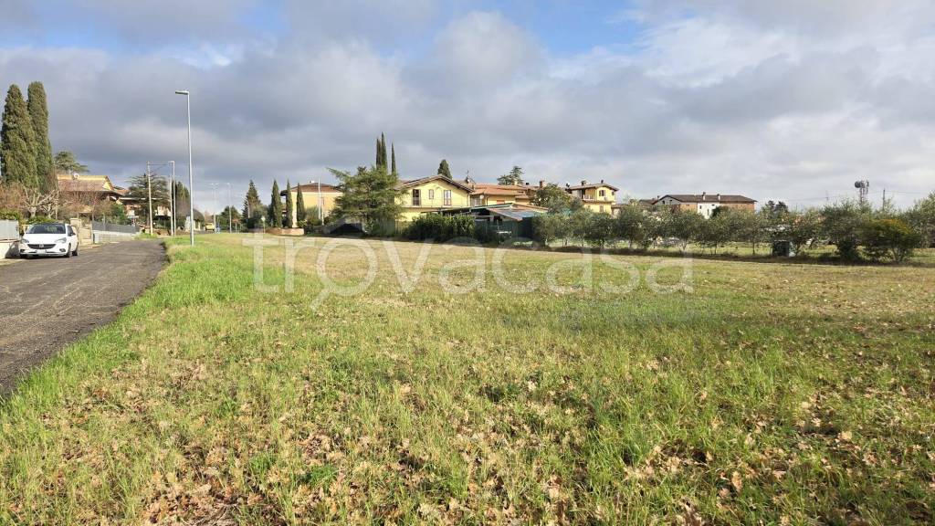 immagine annuncio 5 di 11