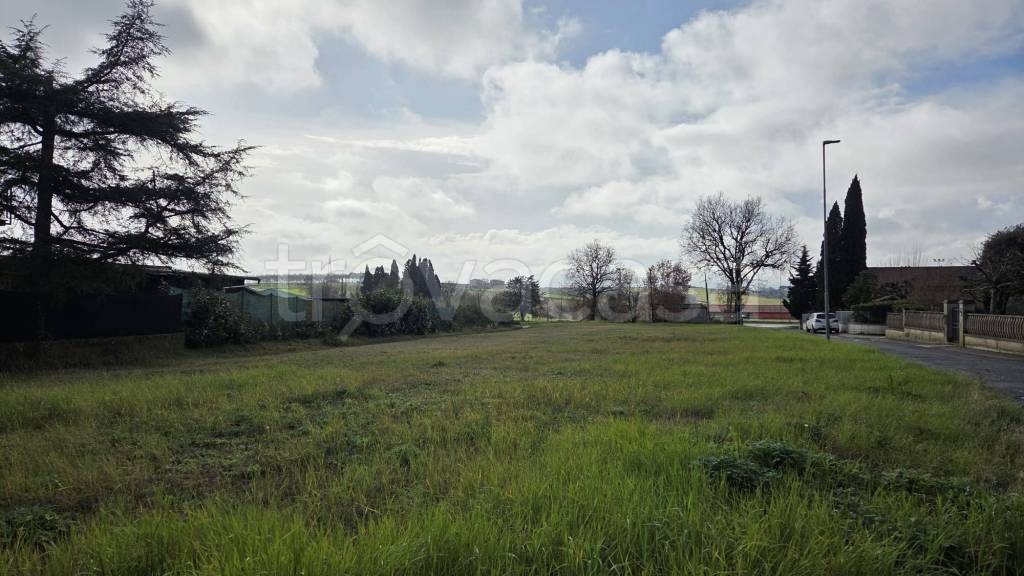 immagine annuncio 8 di 11