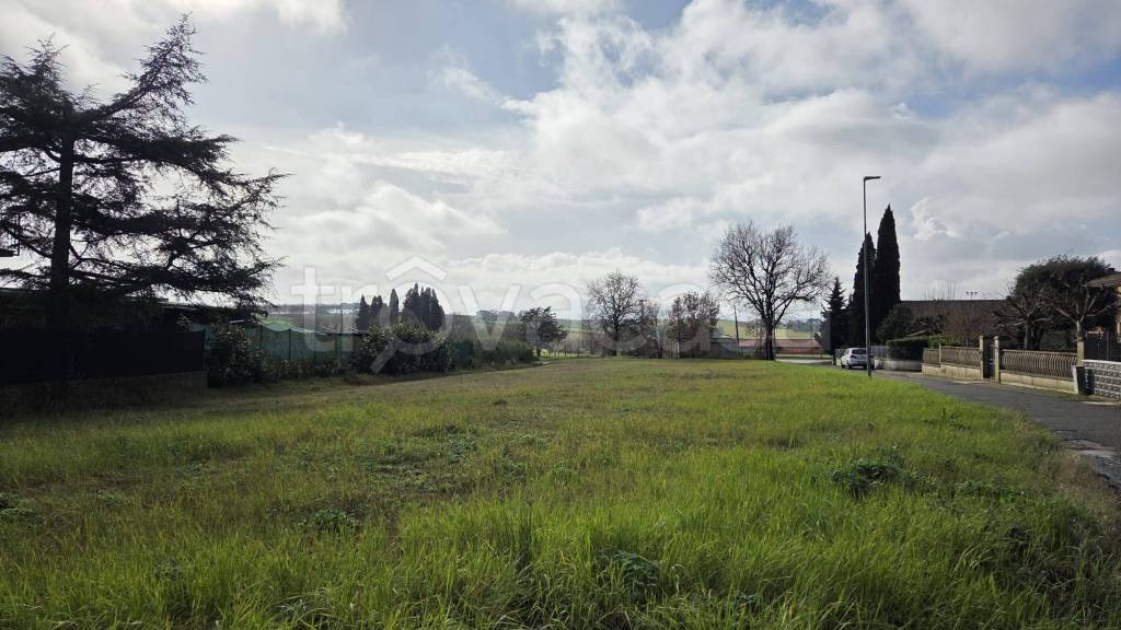 immagine annuncio 9 di 11