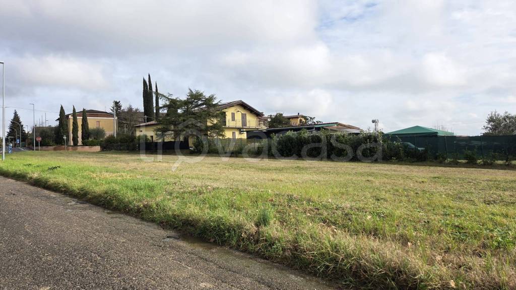 immagine annuncio 10 di 11