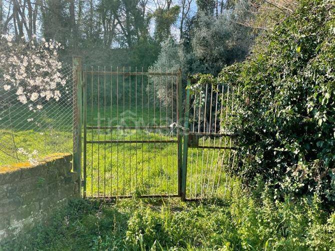 immagine annuncio 4 di 7