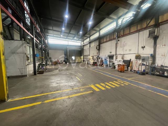 immagine annuncio 12 di 15