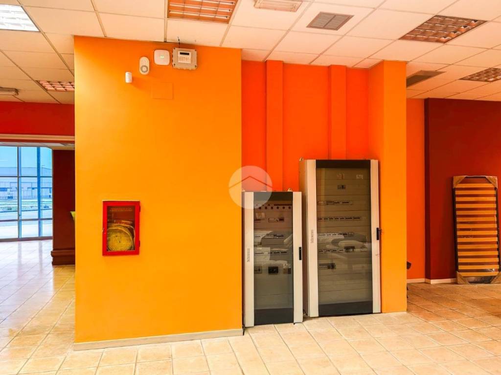 immagine annuncio 9 di 15