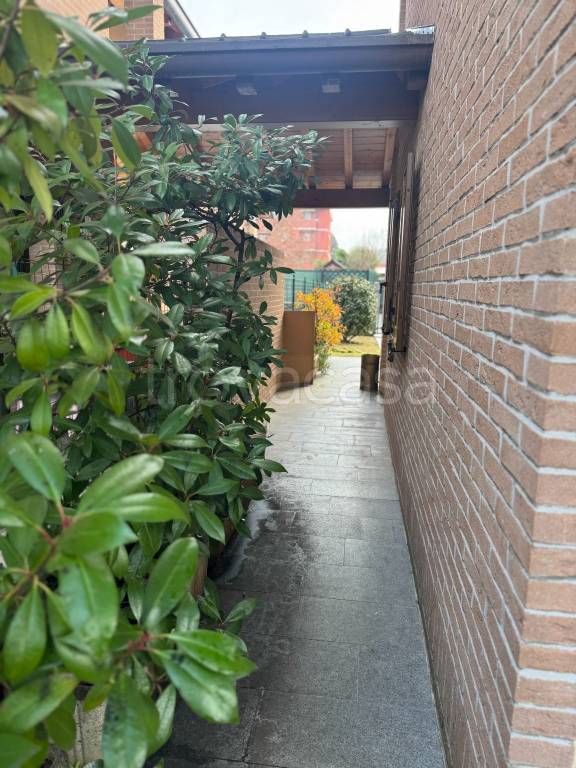 immagine annuncio 9 di 15