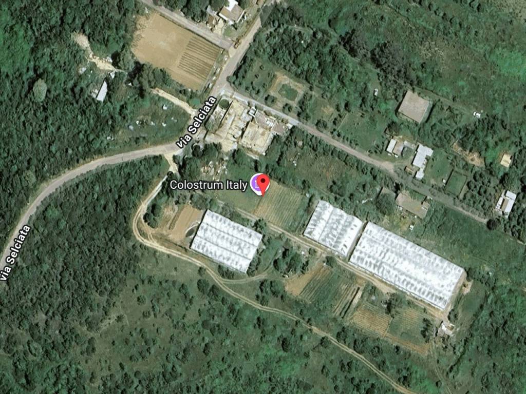 immagine annuncio 1 di 10