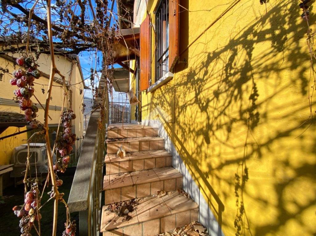 immagine annuncio 2 di 12