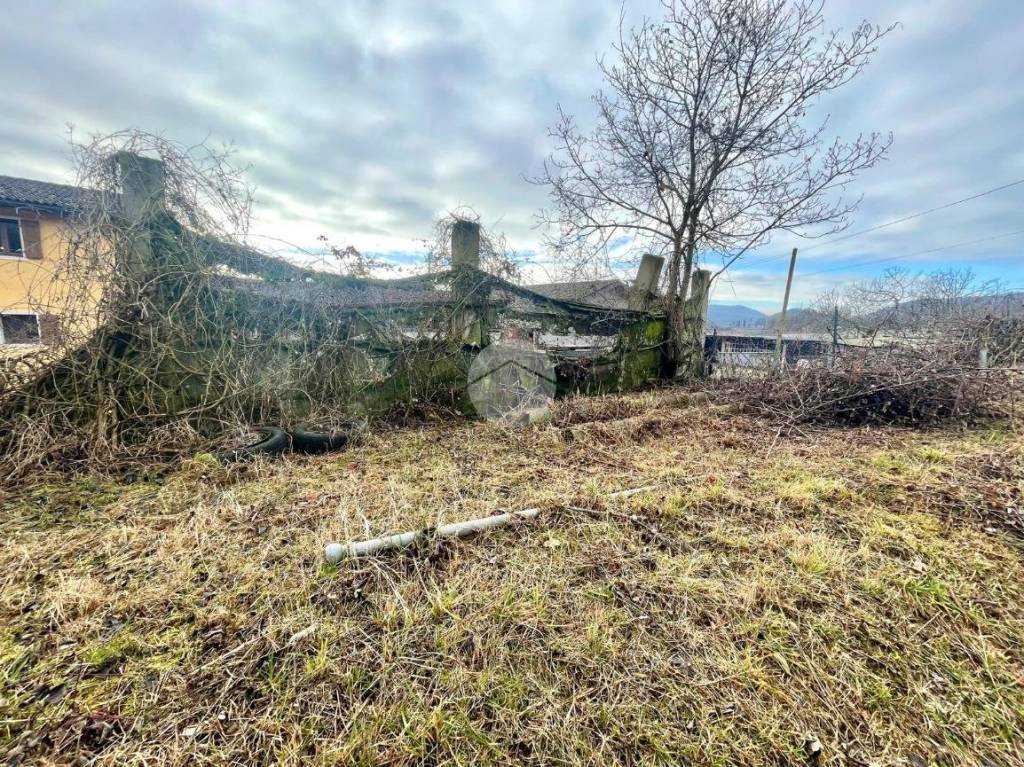 immagine annuncio 5 di 13