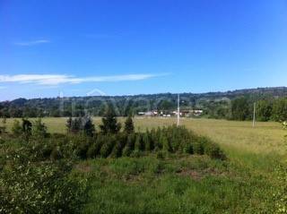 immagine annuncio 3 di 6