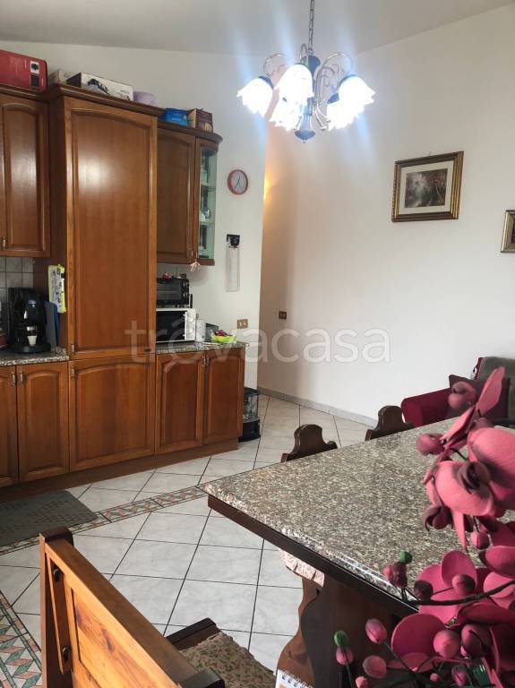 immagine annuncio 4 di 13