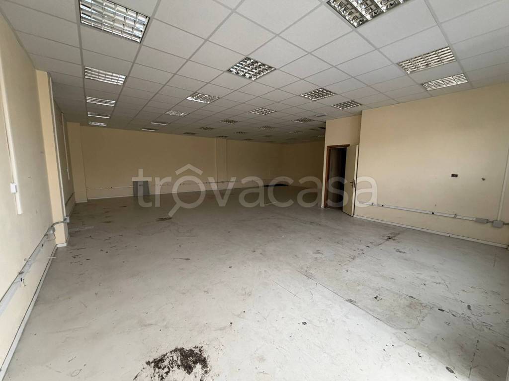 immagine annuncio 3 di 7