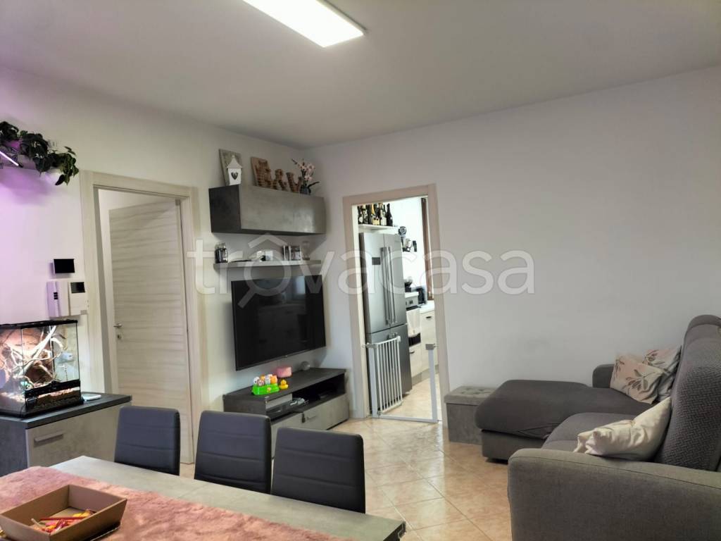 immagine annuncio 4 di 11