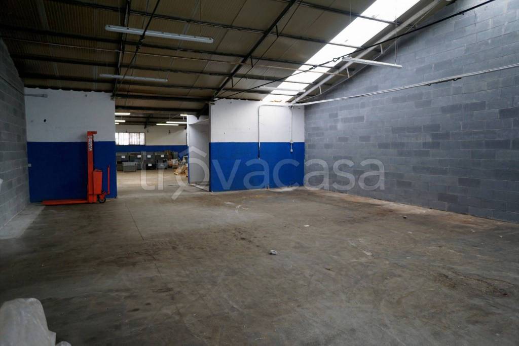 immagine annuncio 3 di 8