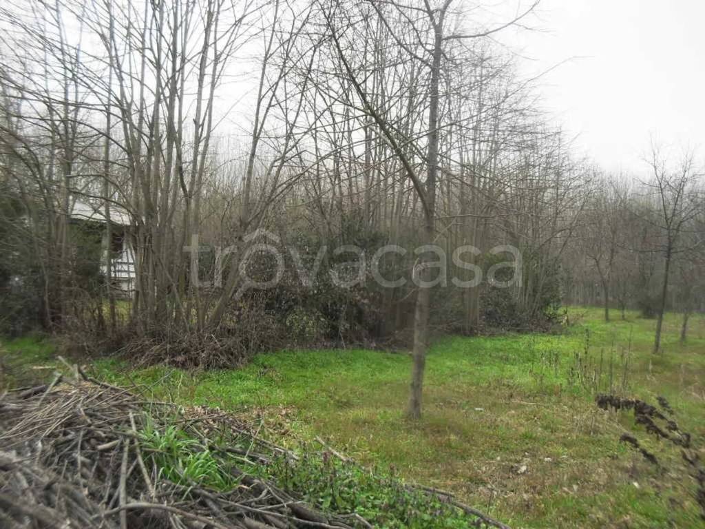 immagine annuncio 1 di 6