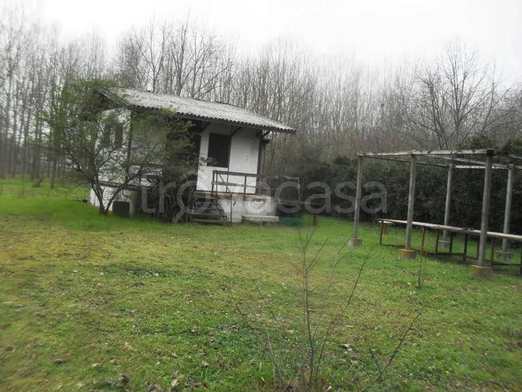 immagine annuncio 2 di 6