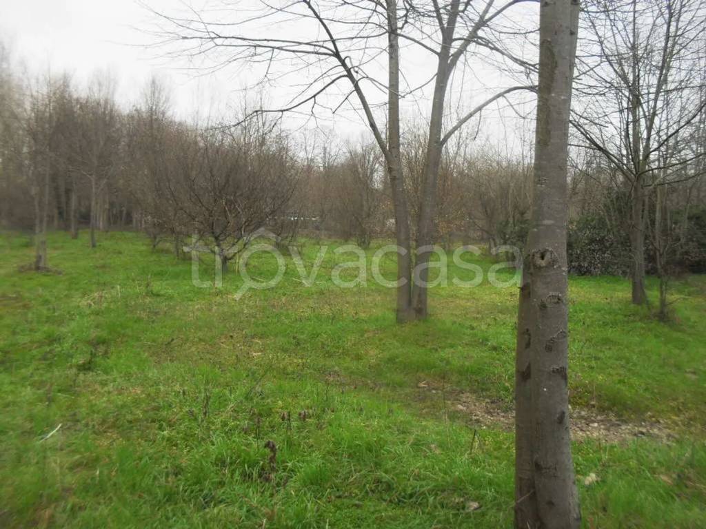 immagine annuncio 4 di 6