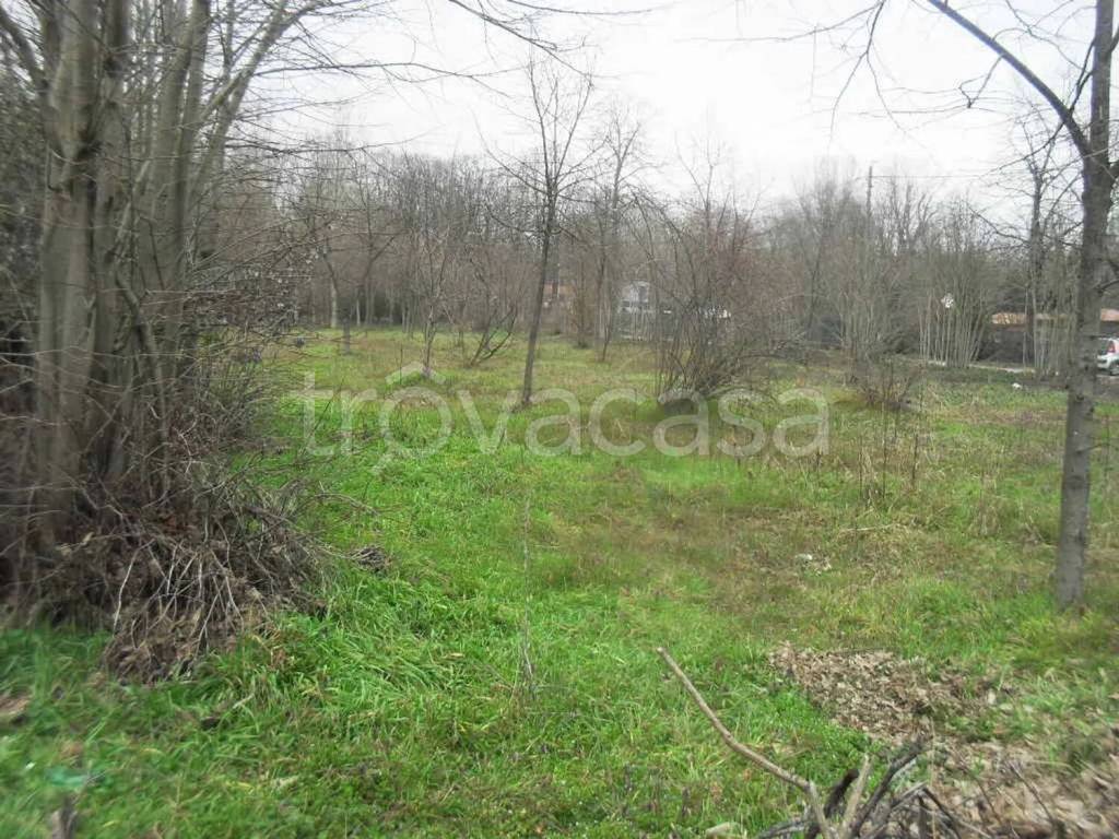 immagine annuncio 5 di 6