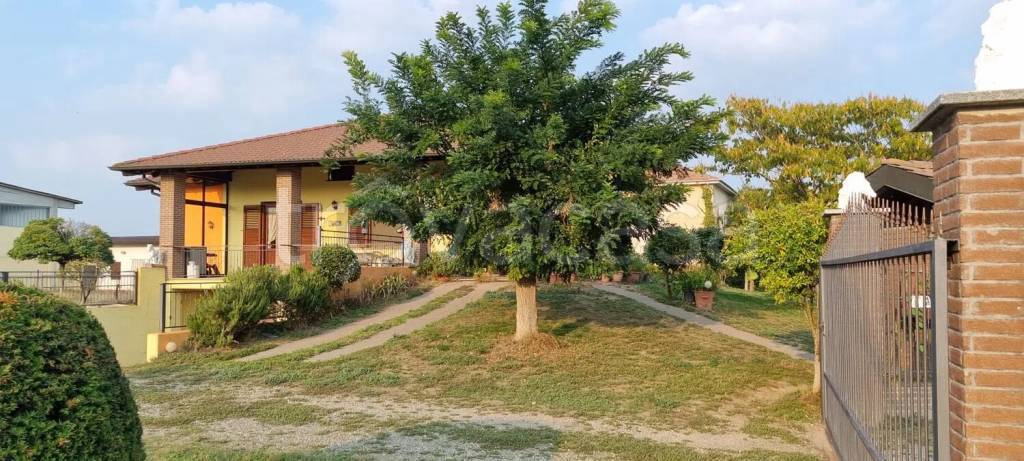 immagine annuncio 1 di 14