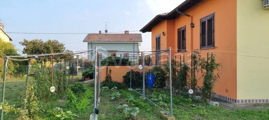 immagine annuncio 10 di 14