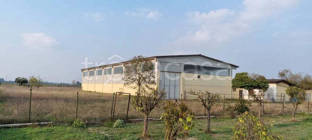 immagine annuncio 11 di 14