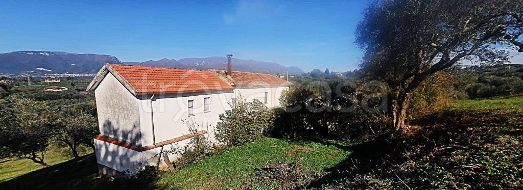 immagine annuncio 1 di 9