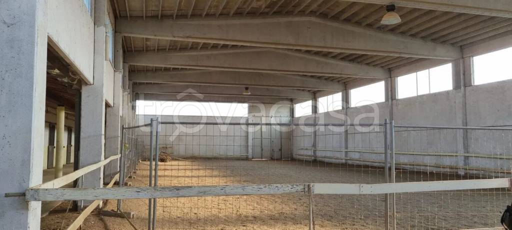 immagine annuncio 12 di 14