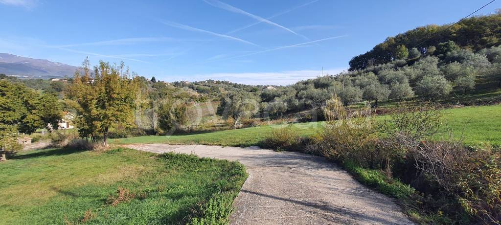 immagine annuncio 2 di 9