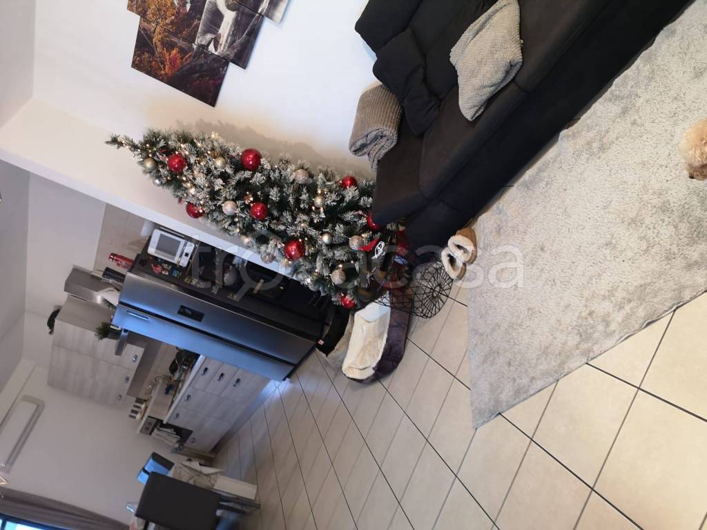 immagine annuncio 3 di 14