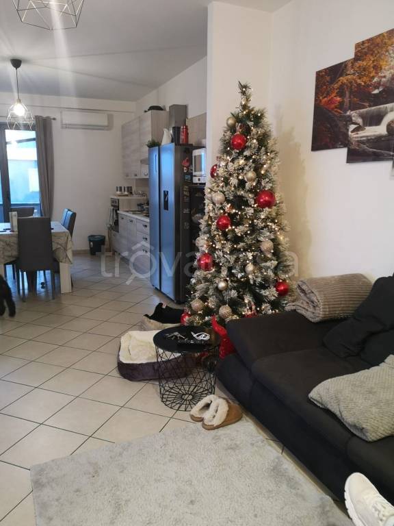 immagine annuncio 2 di 14