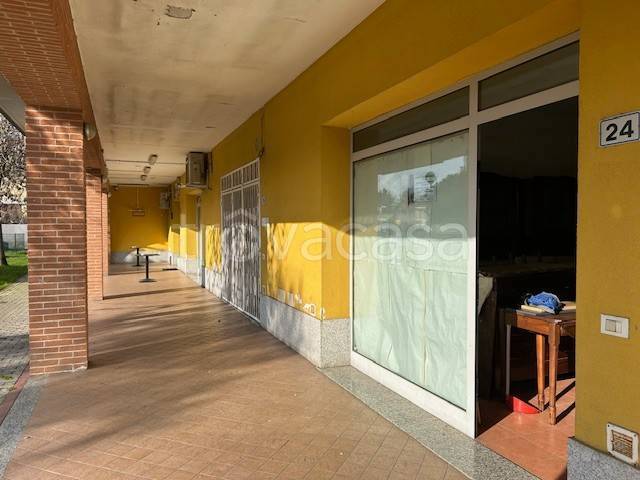 immagine annuncio 1 di 4