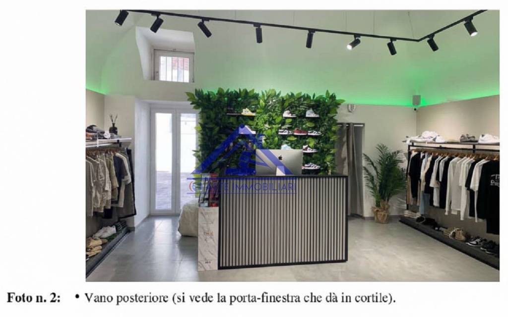 immagine annuncio 3 di 11