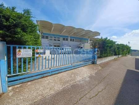 immagine annuncio 2 di 13