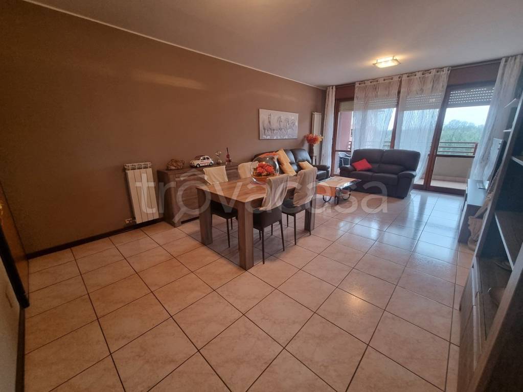 immagine annuncio 7 di 15