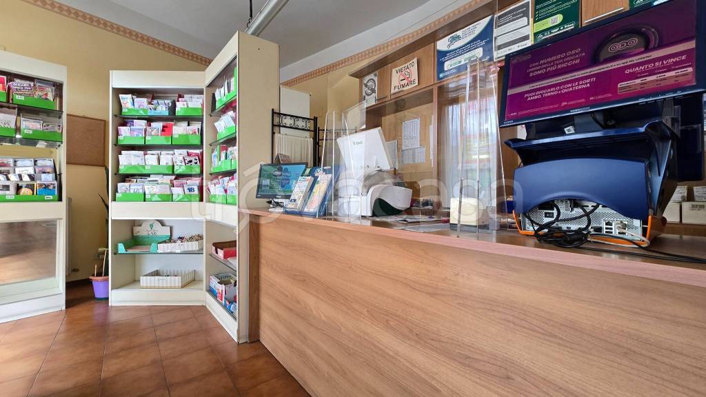 immagine annuncio 5 di 13