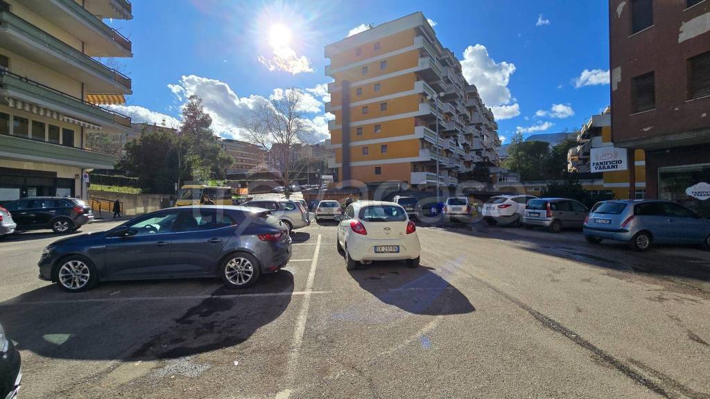 immagine annuncio 9 di 13