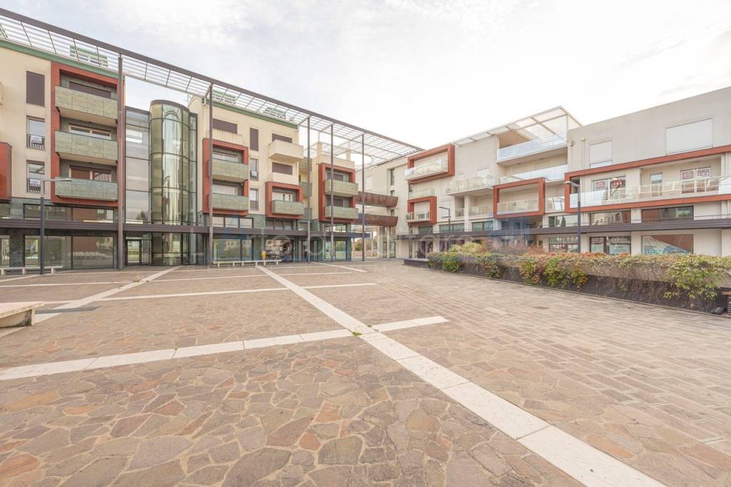 immagine annuncio 1 di 14