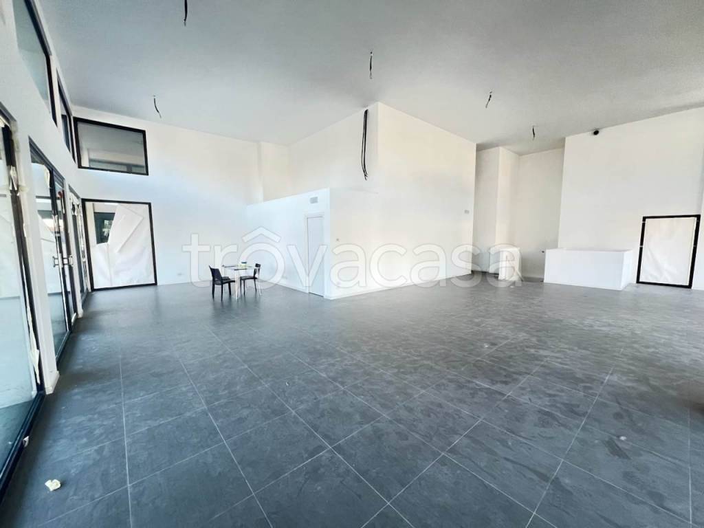 immagine annuncio 9 di 14