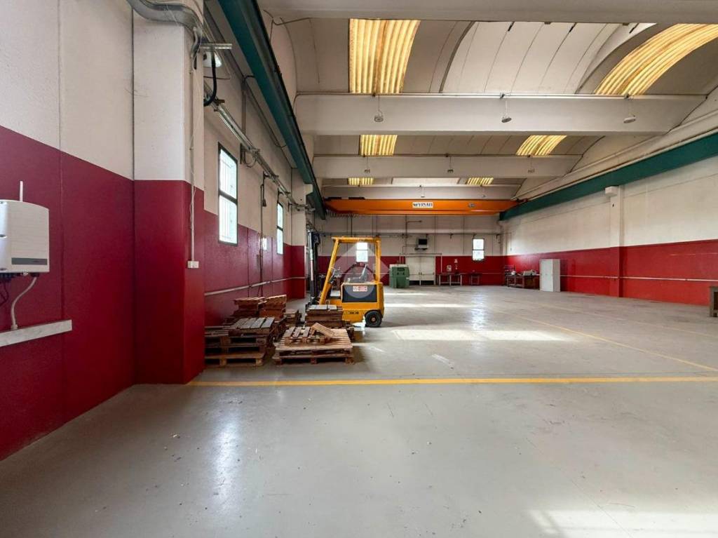 immagine annuncio 7 di 15