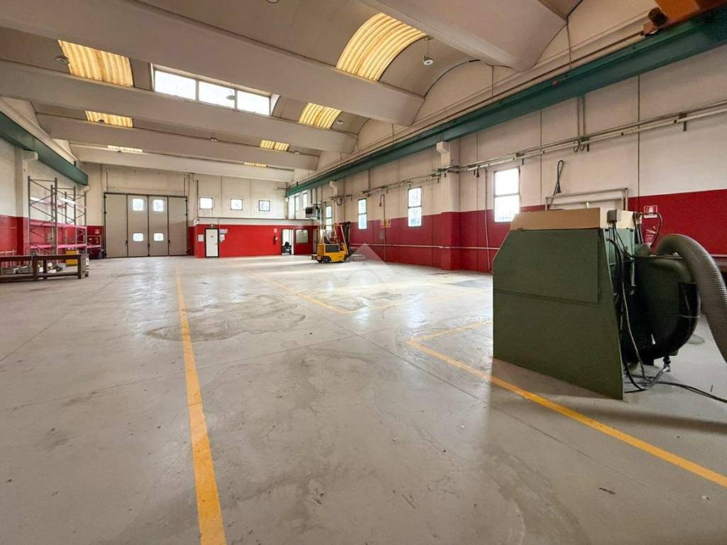 immagine annuncio 11 di 15