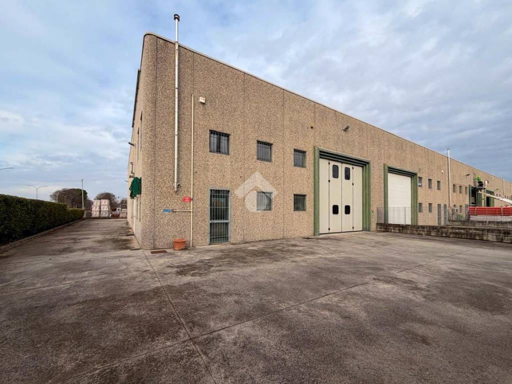 immagine annuncio 12 di 15