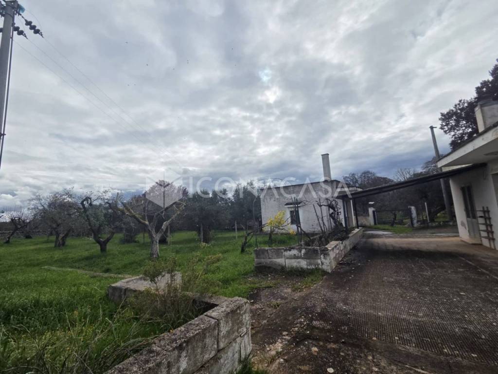 immagine annuncio 4 di 14